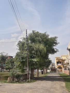 A quiet residential street with trees lining the road on one side. The sky is clear and blue, and there are a few utility poles with power lines. Residential buildings are visible in the background, showcasing a mix of architectural styles.