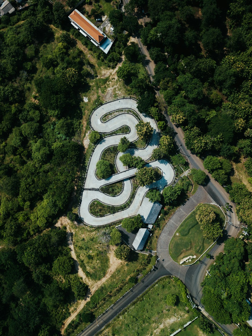 aerial view of green trees and gray road