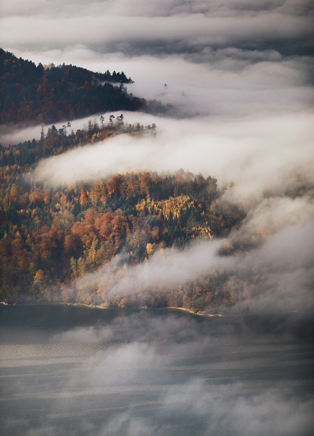 green trees covered with white clouds