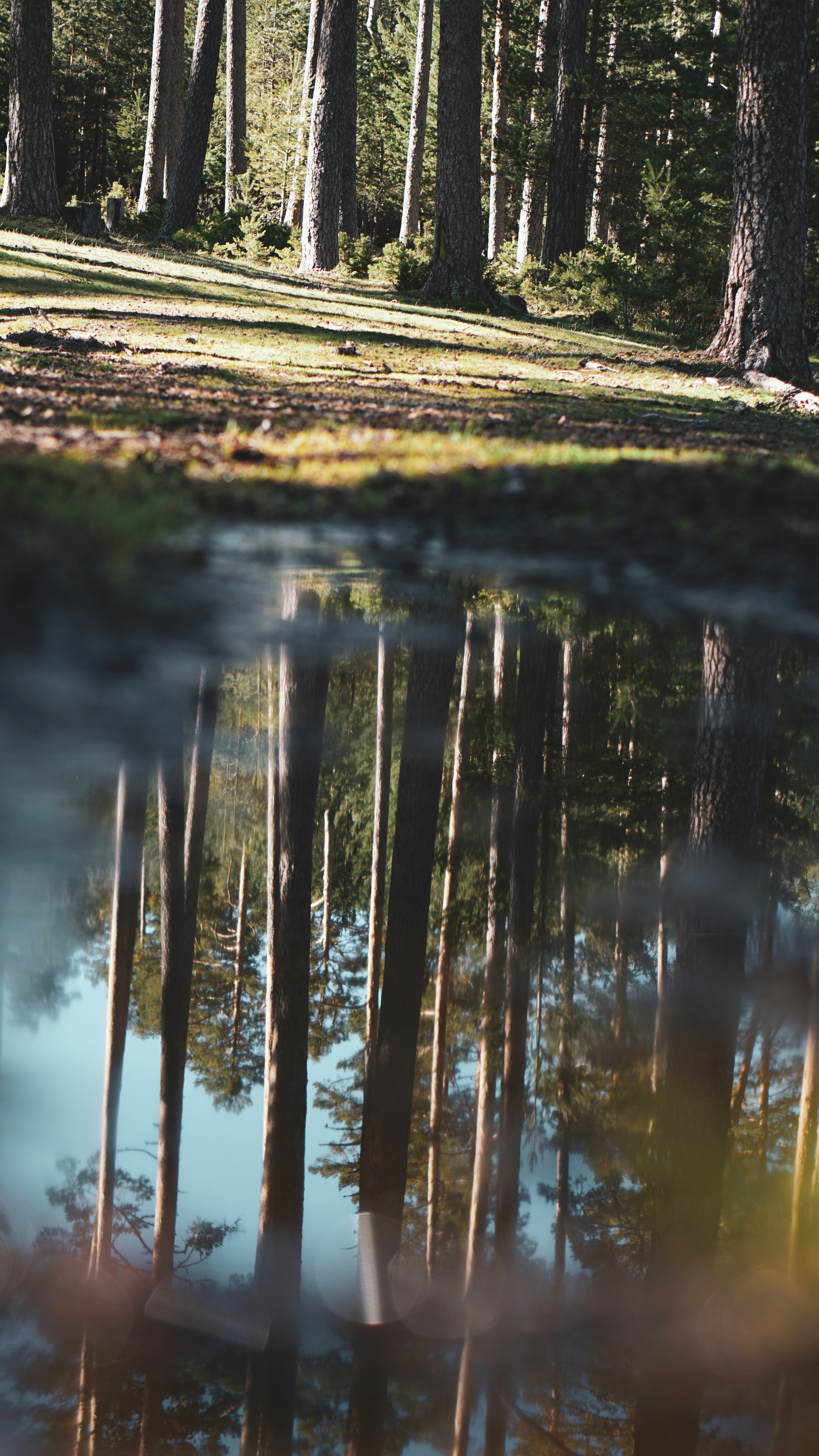 Photo by mikamagister