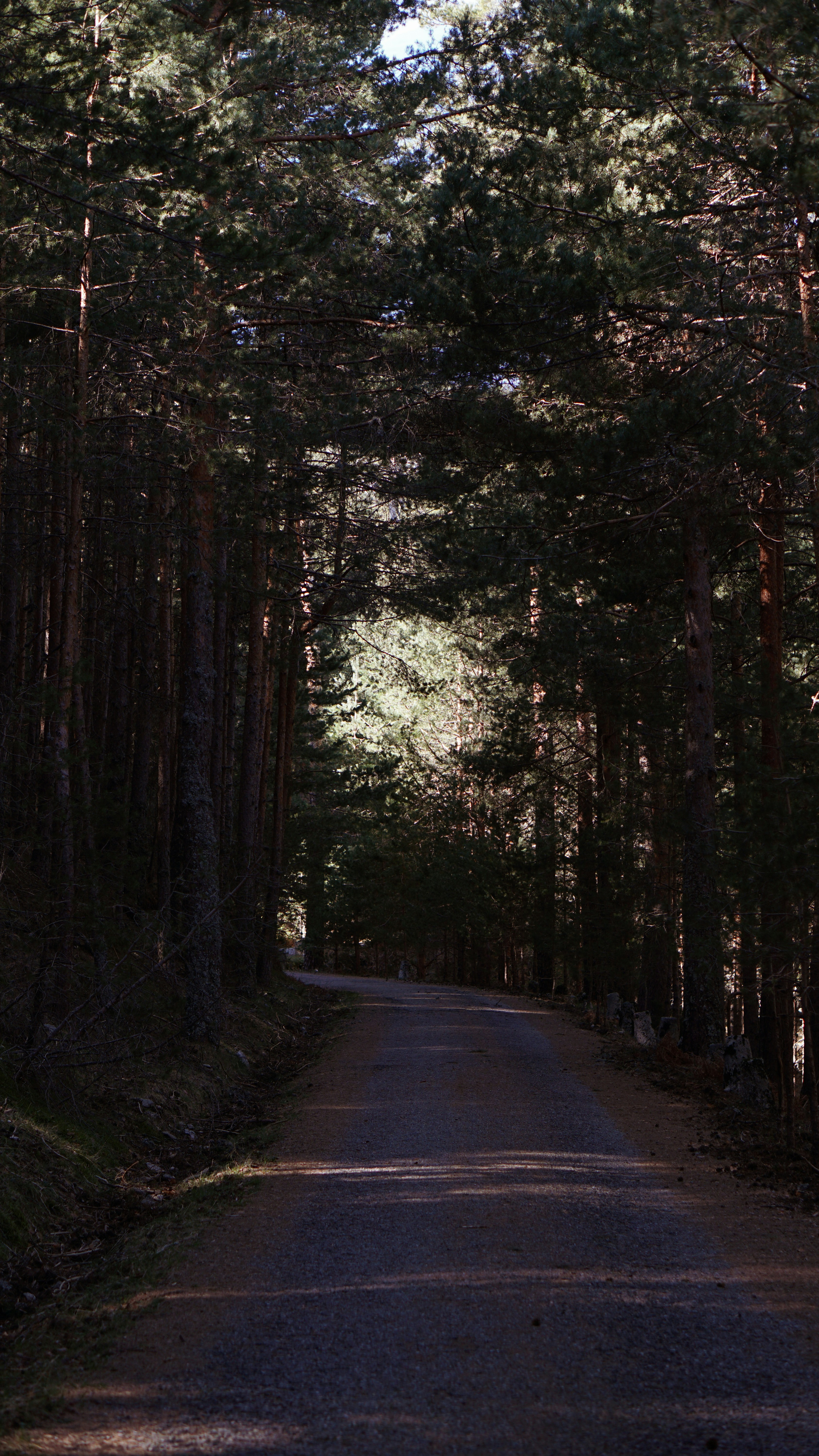 Photo by mikamagister