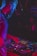 A person is focused on operating DJ equipment, surrounded by an array of controls, buttons, and lights. The atmosphere is dimly lit with vibrant, colorful lighting accenting the DJ setup, creating a lively and immersive ambiance.