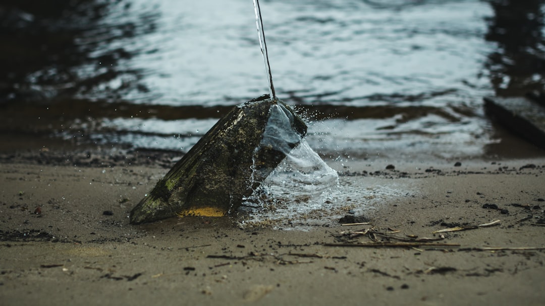 green and black fishing net on beach during daytime