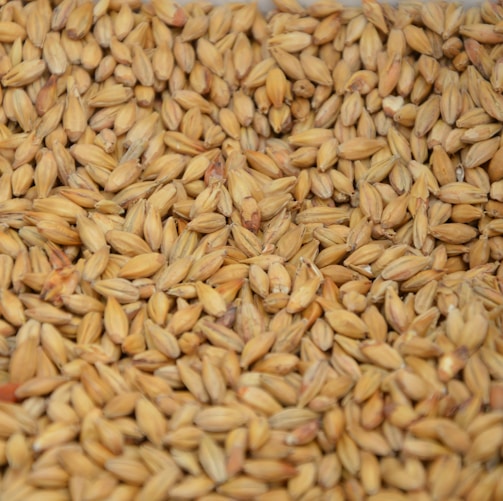 brown and white rice grains