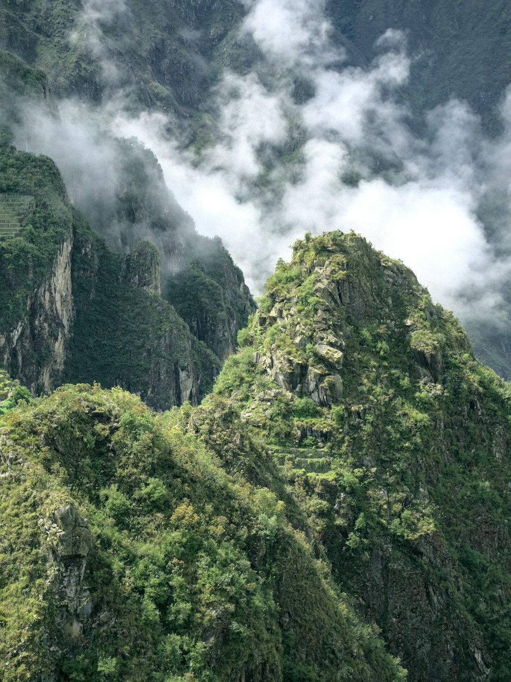 green trees on mountain during daytime