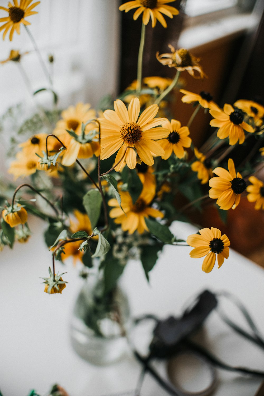 yellow flowers in tilt shift lens