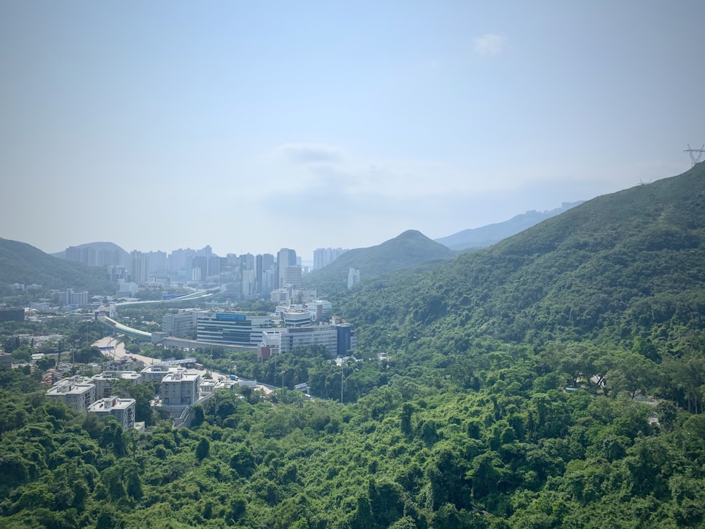 green trees and buildings under white sky during daytime