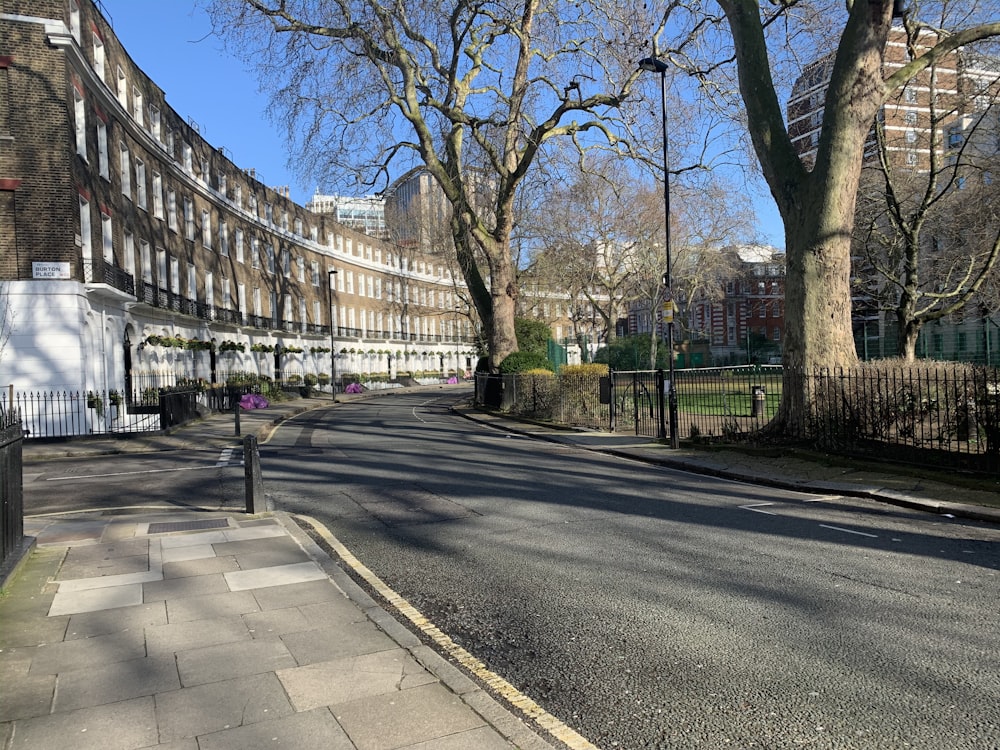 bare trees on sidewalk during daytime