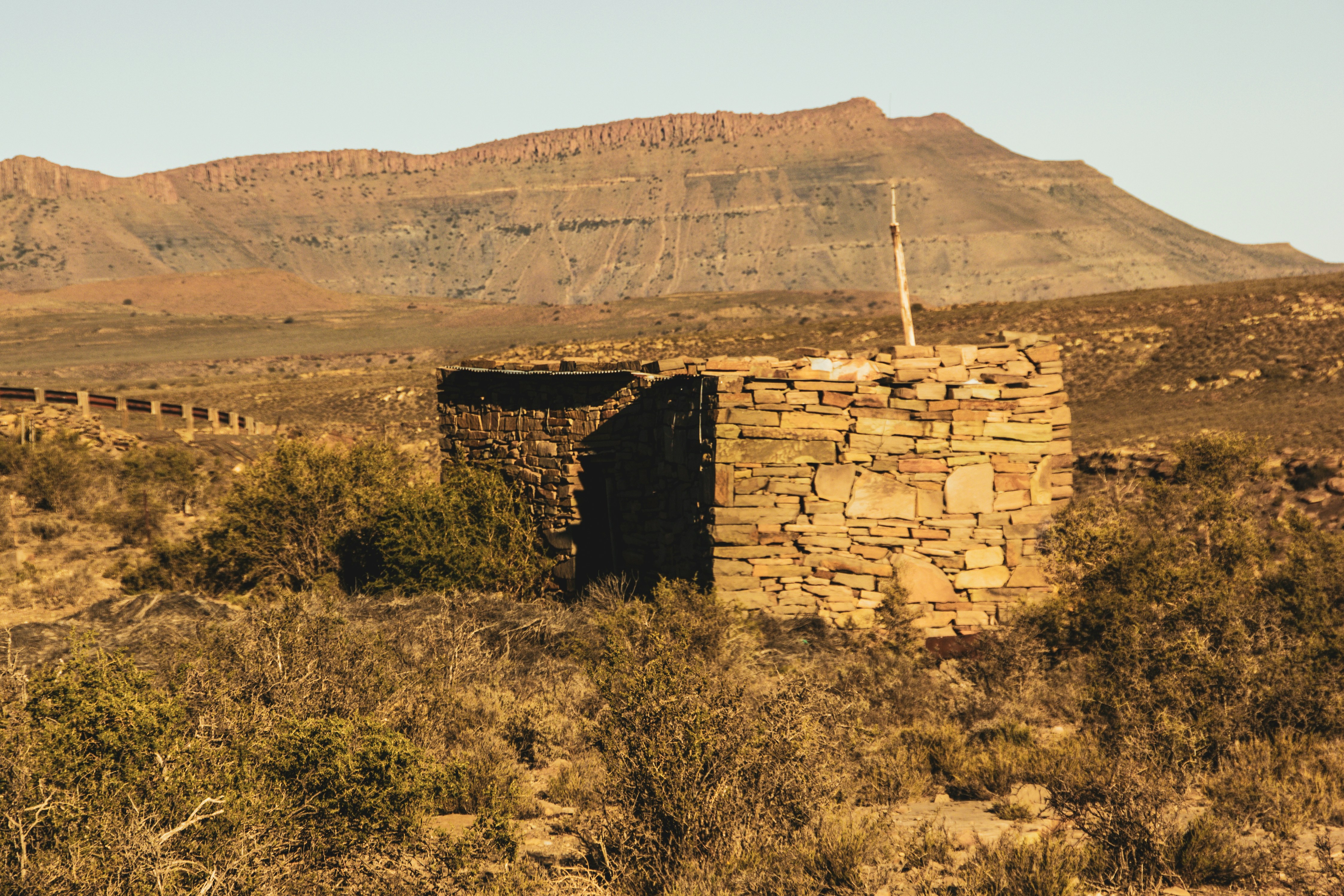 The Future of Prehistoric Discovery (image credits: unsplash)