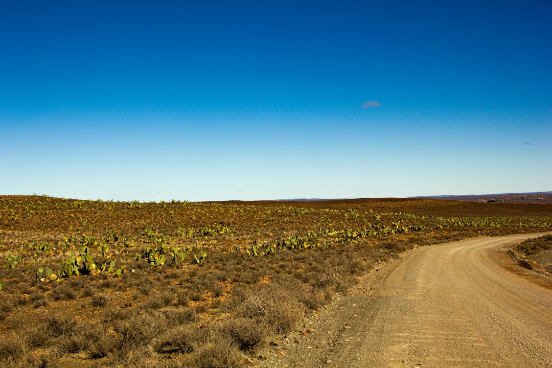 brown dirt road between green grass field under blue sky during daytime in Fraserburg South Africa