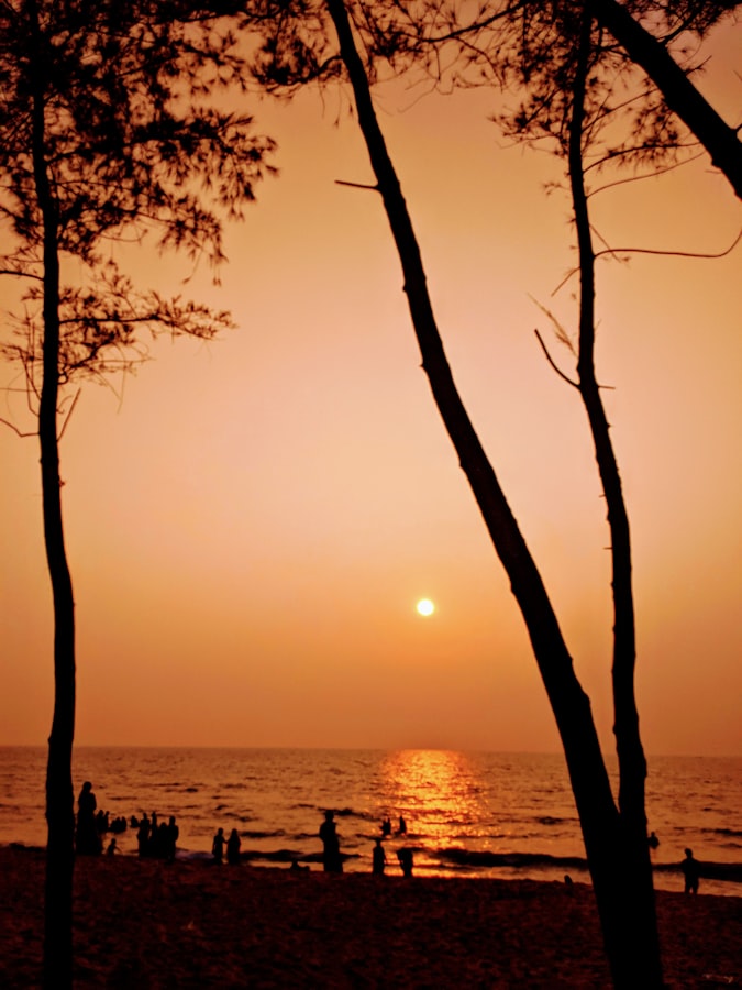 Sunrise in Cochin
