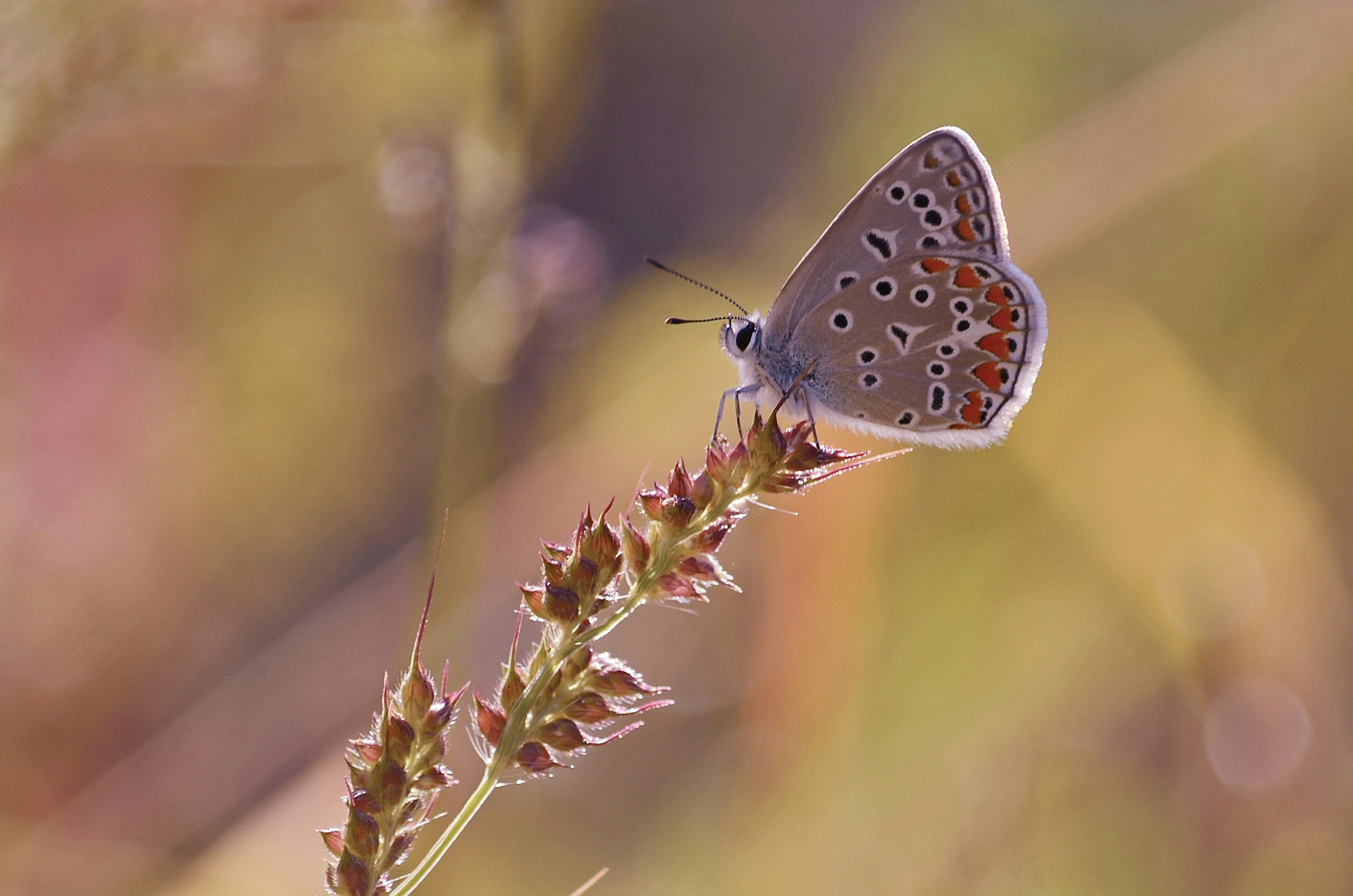 Photo by mariobeducci