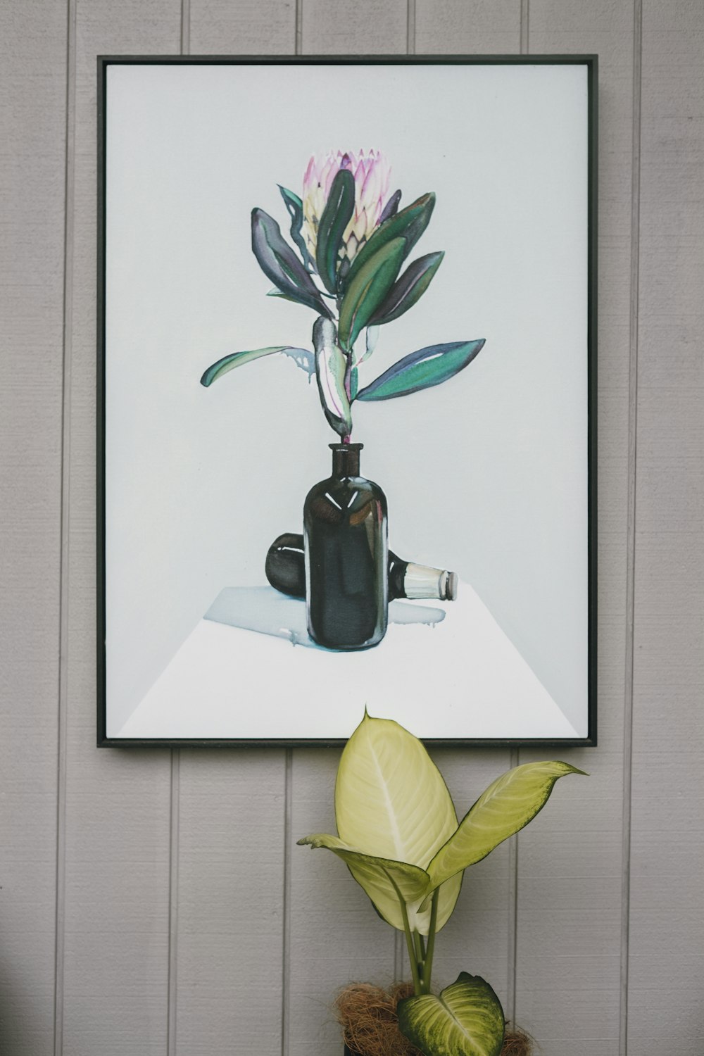 黒い陶器の花瓶に緑の植物