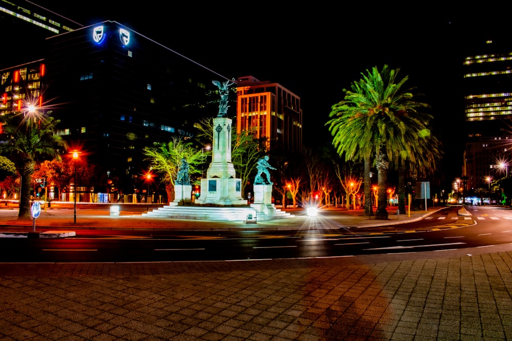 green palm tree near building during night time