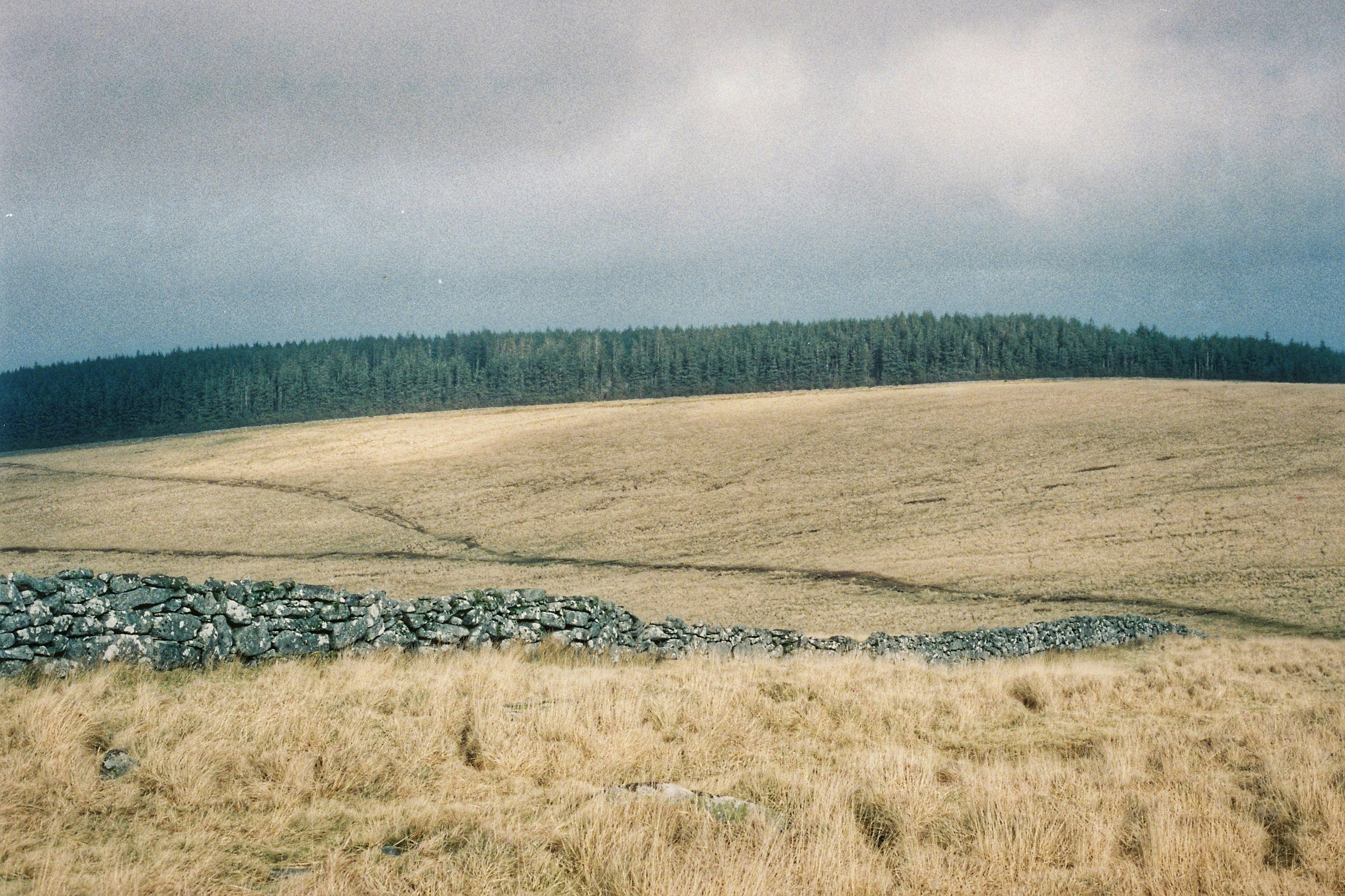 Photo by tomasrobertson