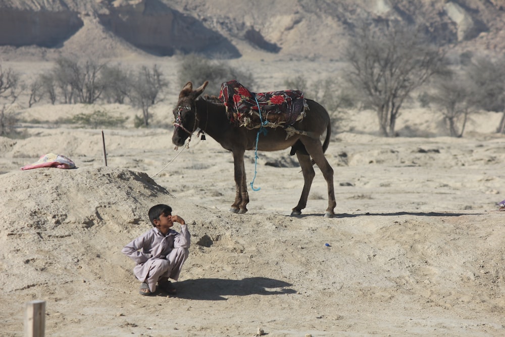 woman in pink jacket riding brown horse during daytime