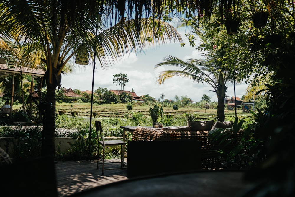 a view of a lush green field with palm trees