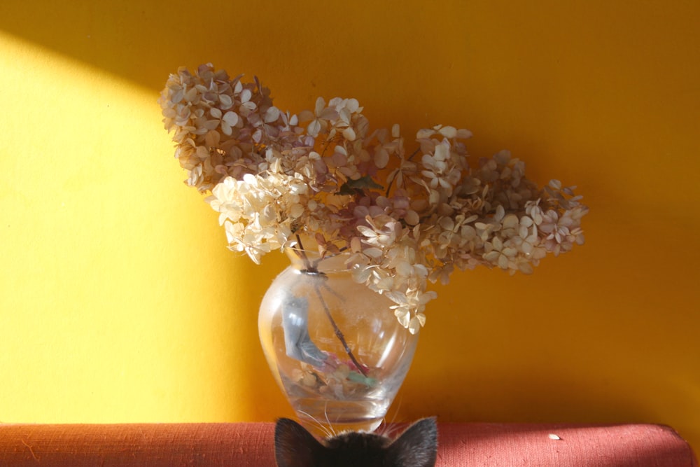 white flower in clear glass vase