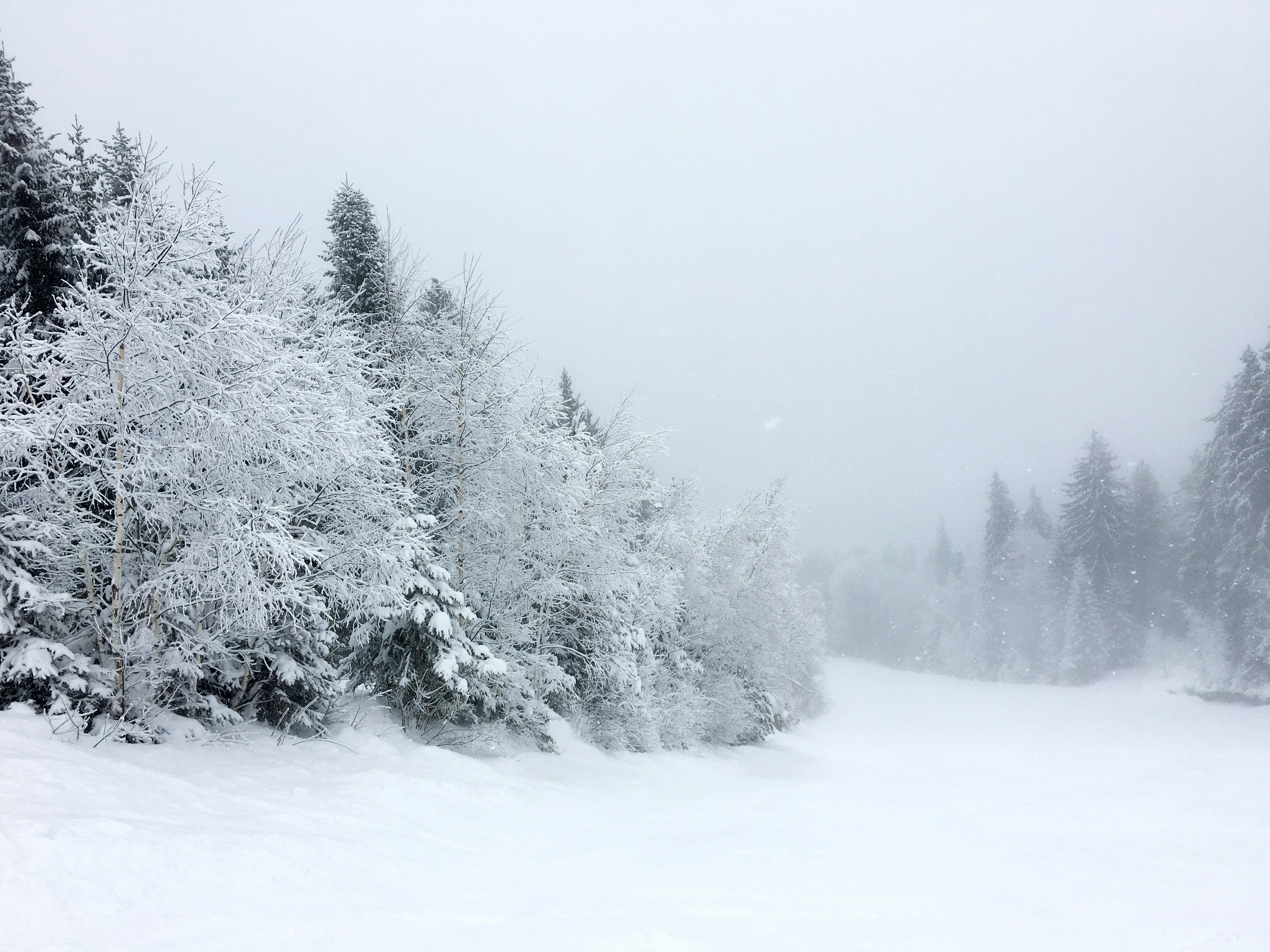 Photo by dannomorgan