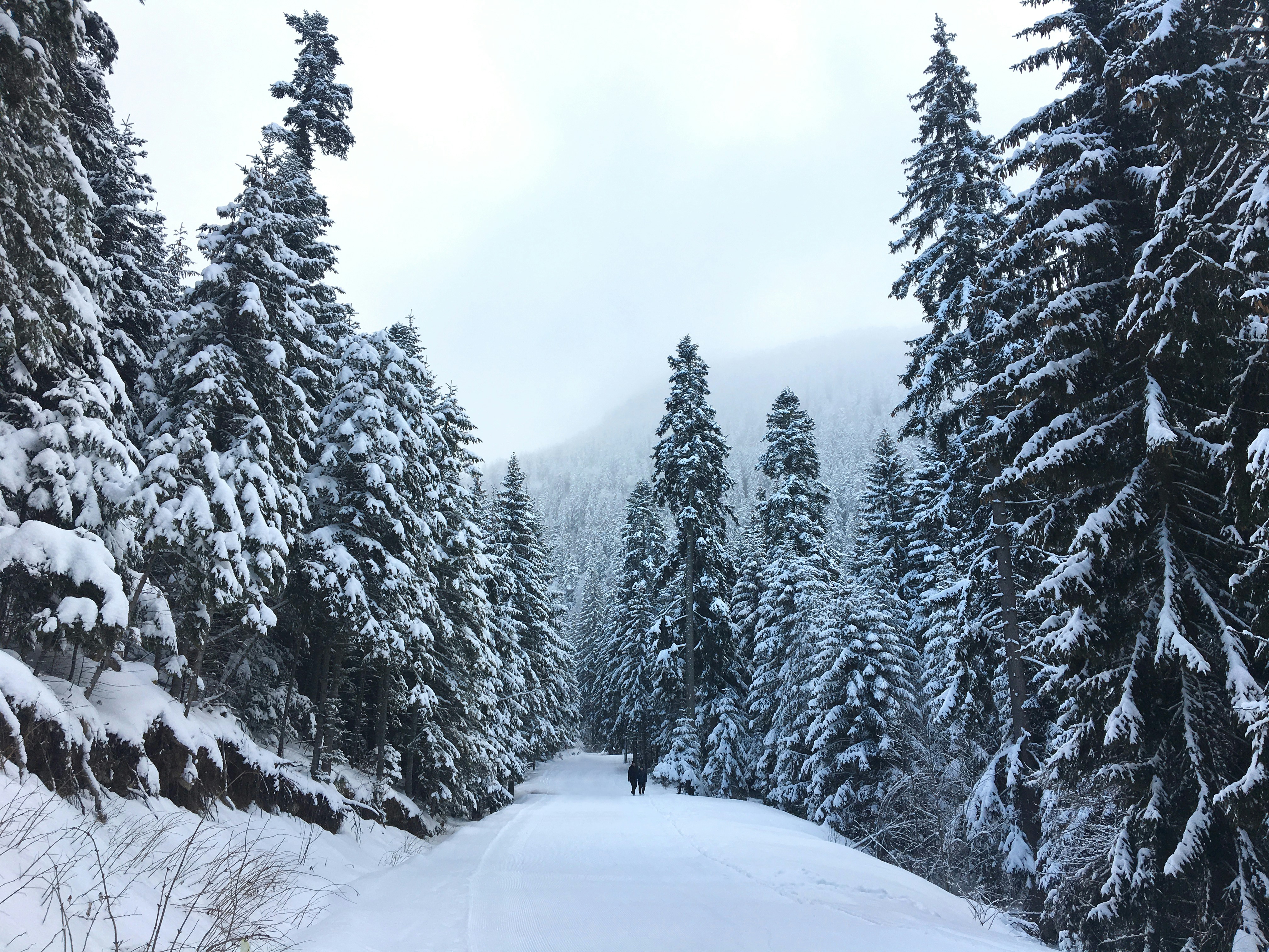 Photo by dannomorgan