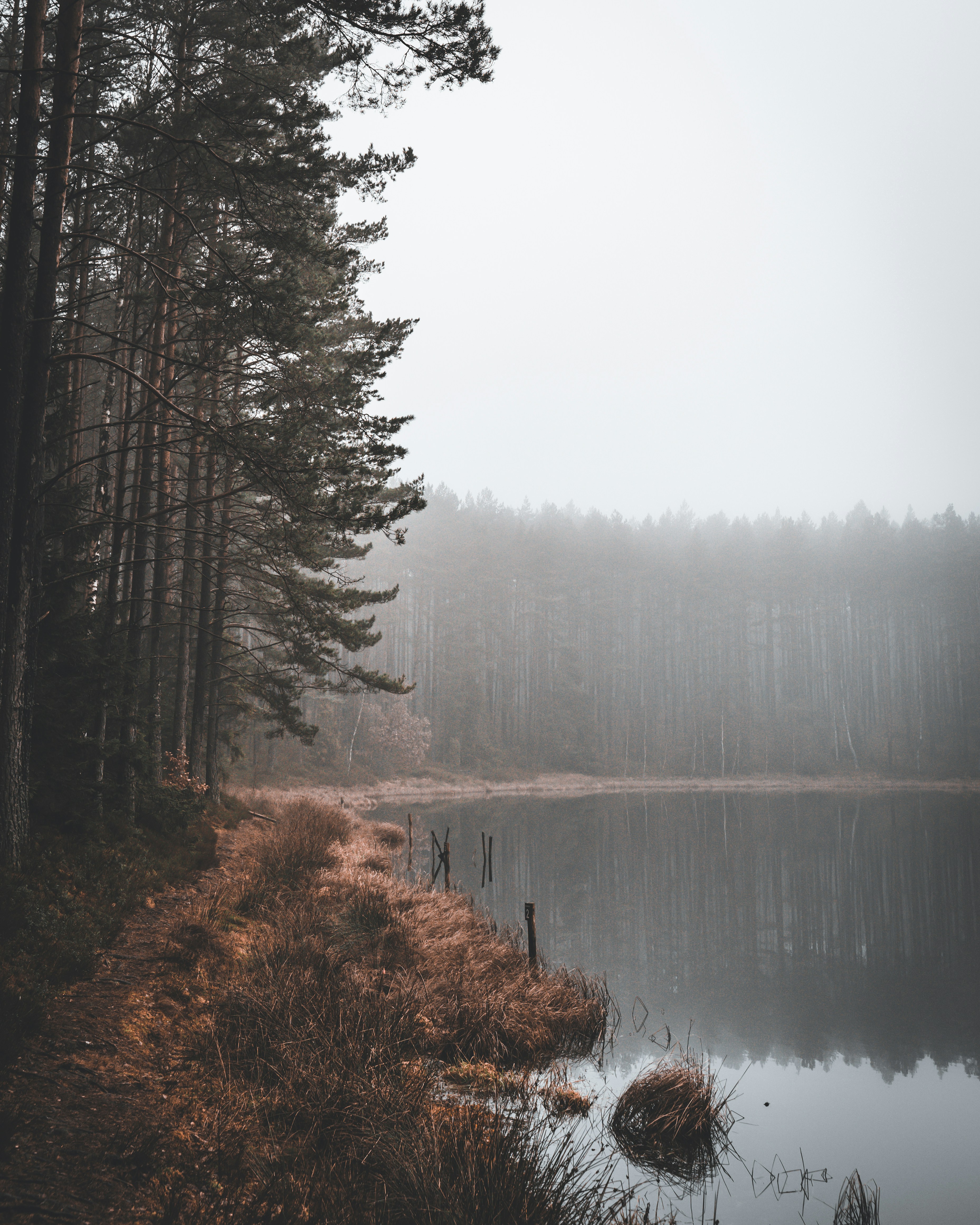 Photo by krzych00_