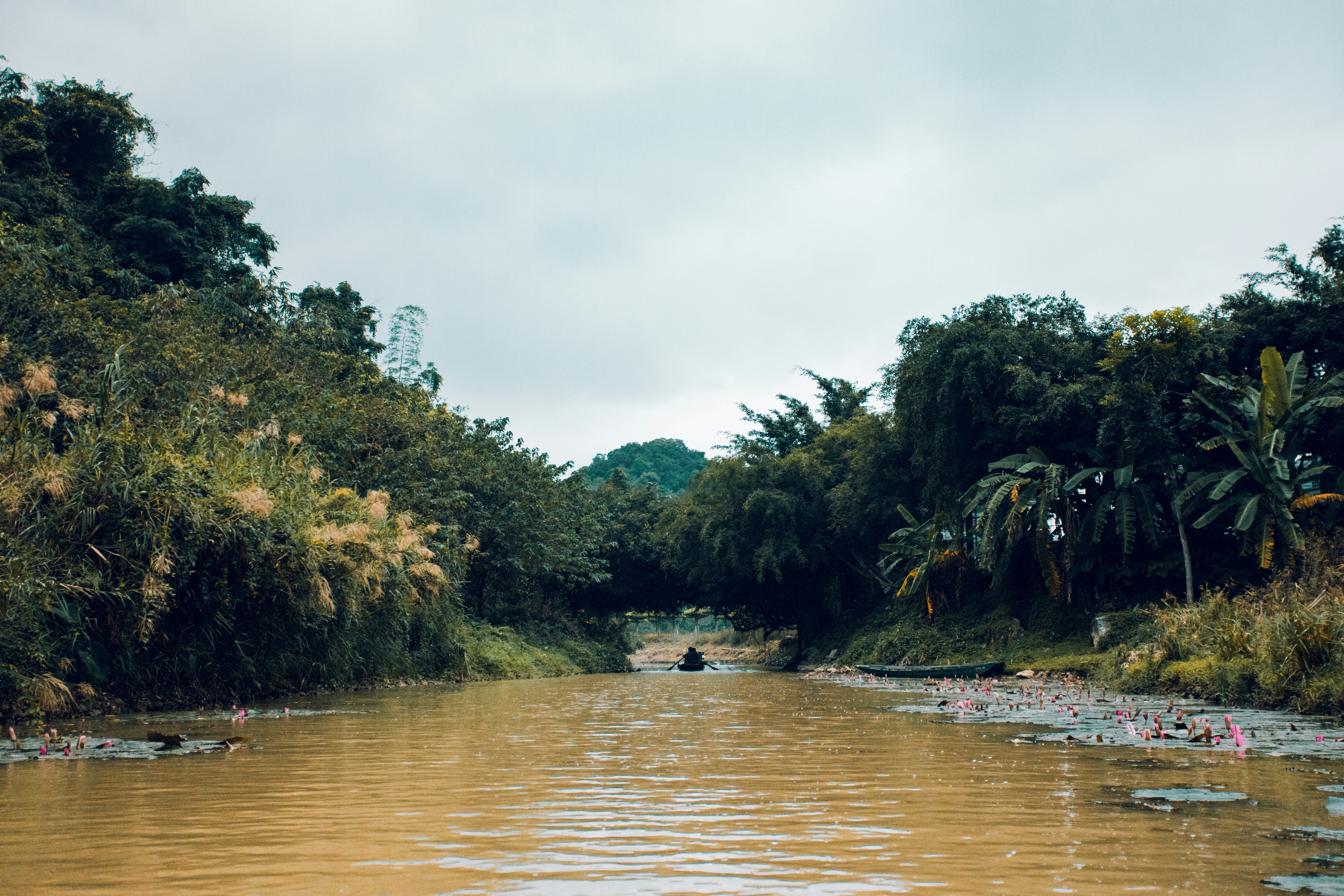 Photo by jirehtakesphotos