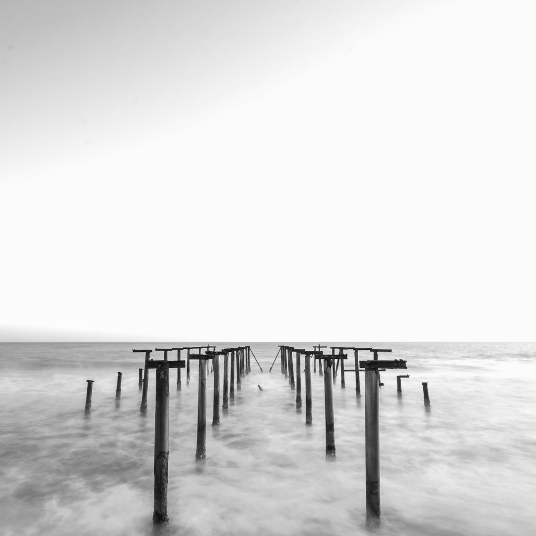 grayscale photo of wooden posts on sea