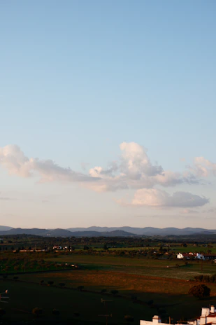 A serene rural landscape with rolling green fields under a bright blue sky in Buenos Aires countryside.