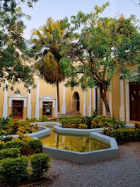A peaceful courtyard with lush greenery, featuring a geometric pond at the center. The setting is surrounded by an elegant, classical building with tall windows and doors. Palm trees and various shrubs add to the tranquil atmosphere.