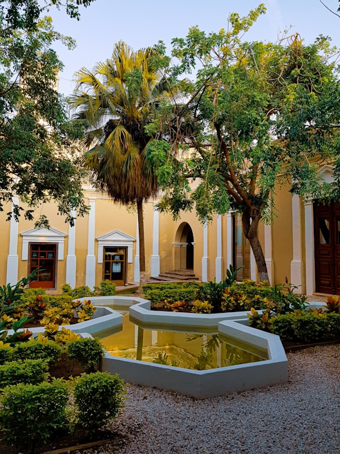 Peaceful courtyard garden with lush greenery and comfortable seating