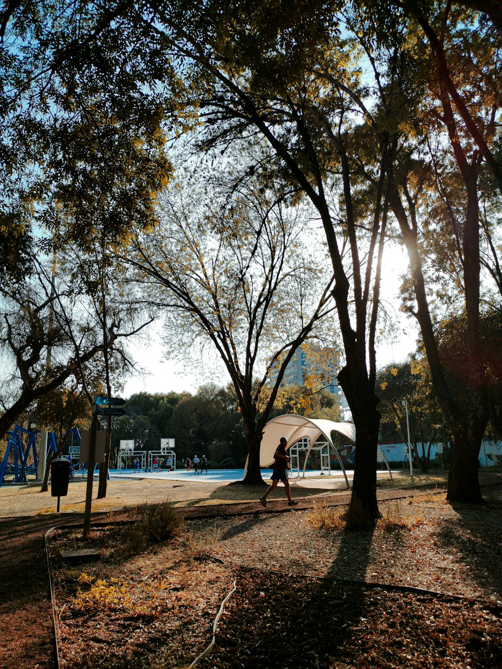 people standing on brown sand near trees during daytime