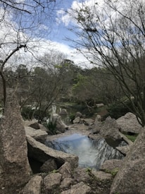 A serene natural landscape with boulders and a small reflective pond surrounded by sparse trees and undergrowth. The sky is visible with patches of blue and clouds peeking through the branches of the trees.