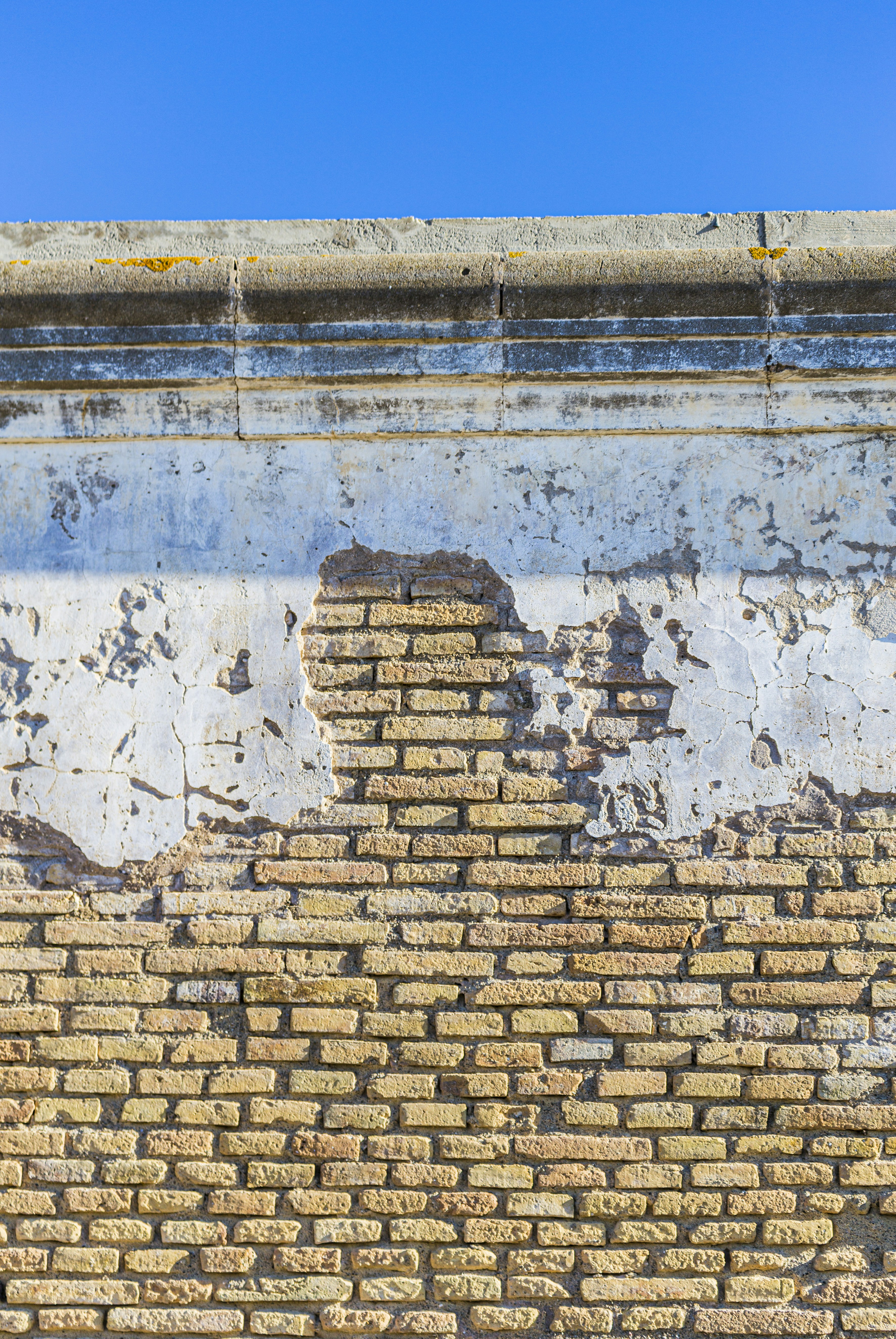 Photo by isaacquesada