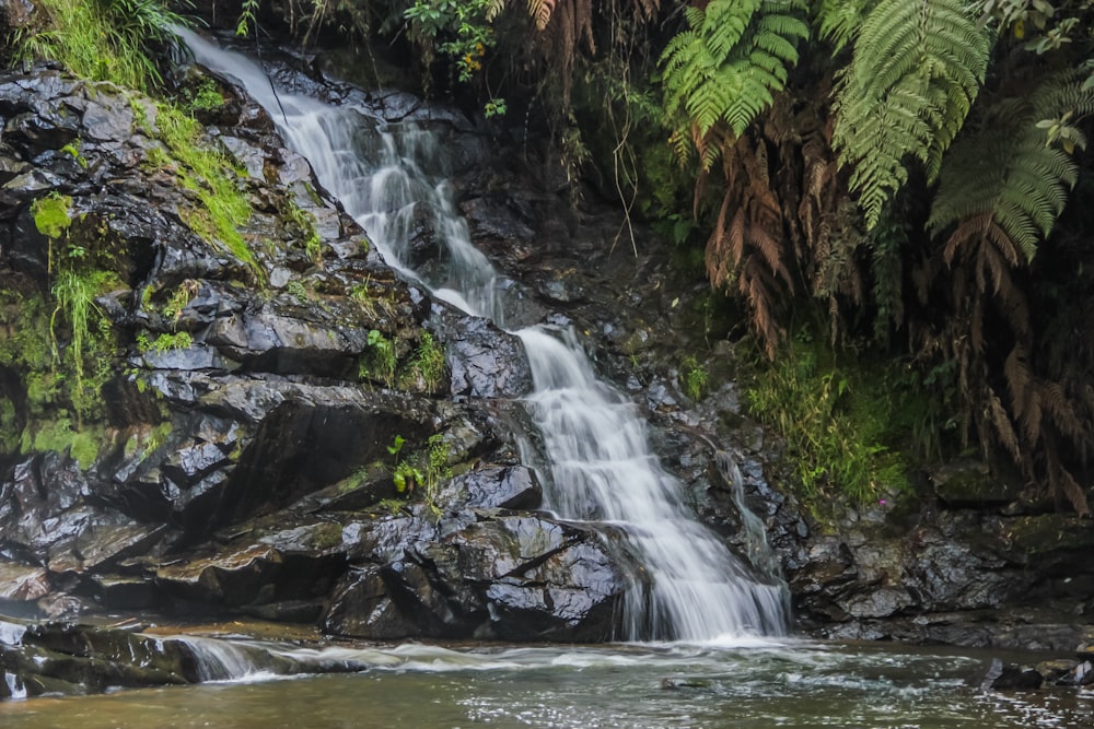 a small waterfall in the middle of a forest