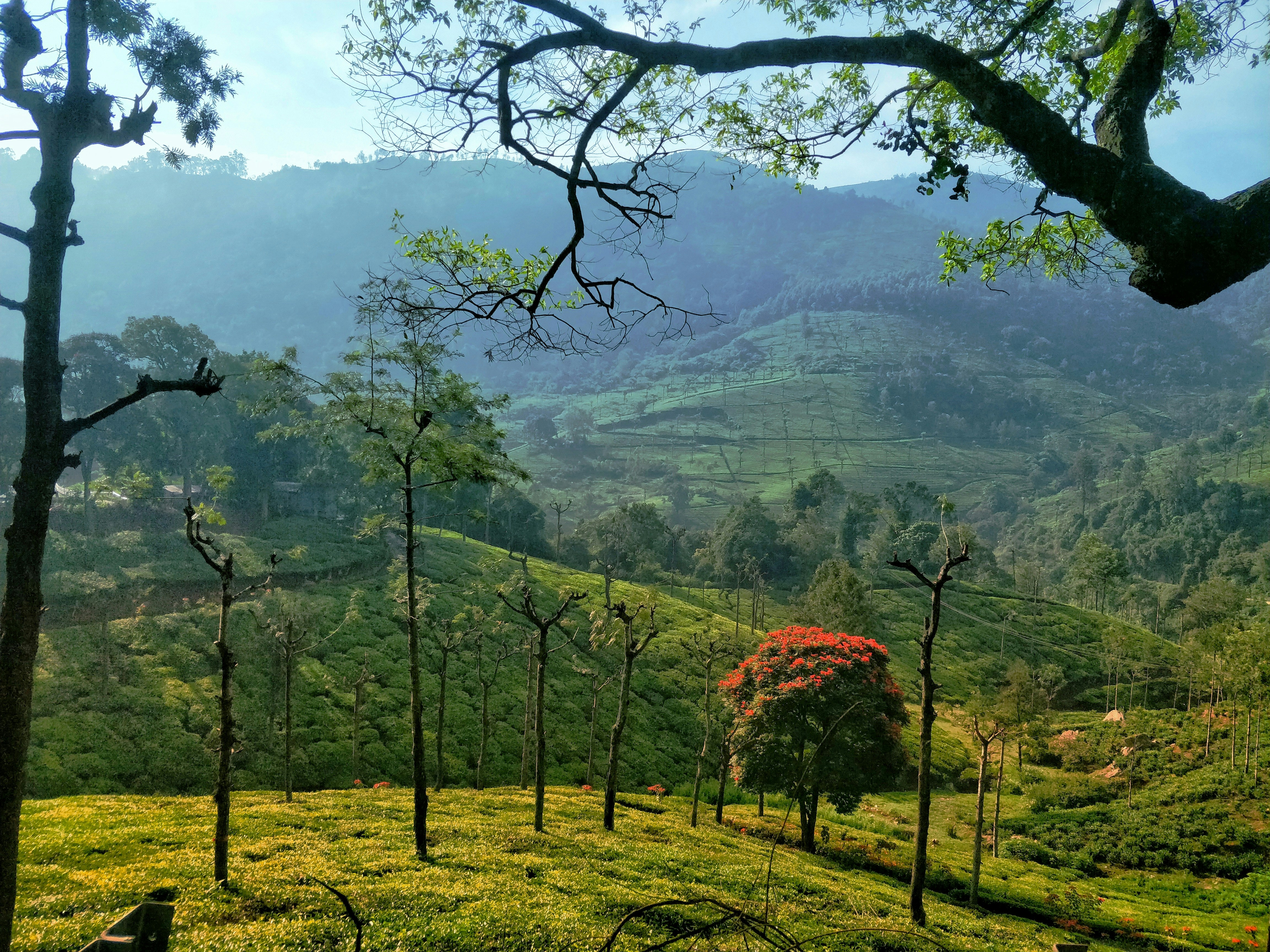 The hills of Ooty: Resorts In Ooty With Swimming Pool