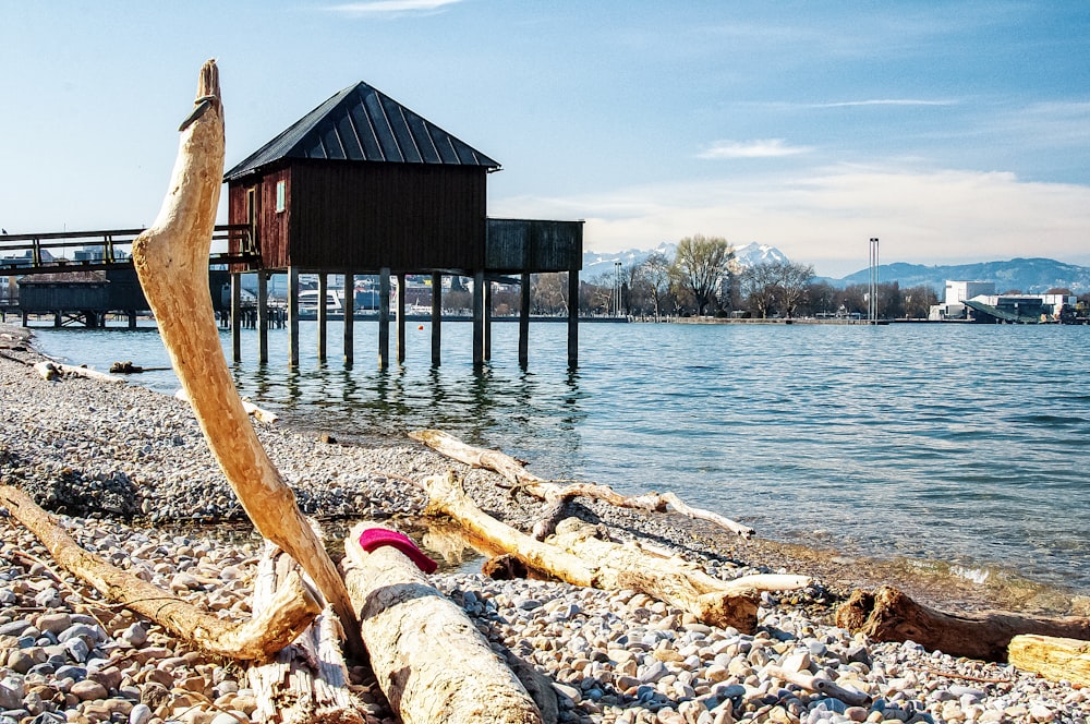 brown wooden house on brown wooden dock during daytime