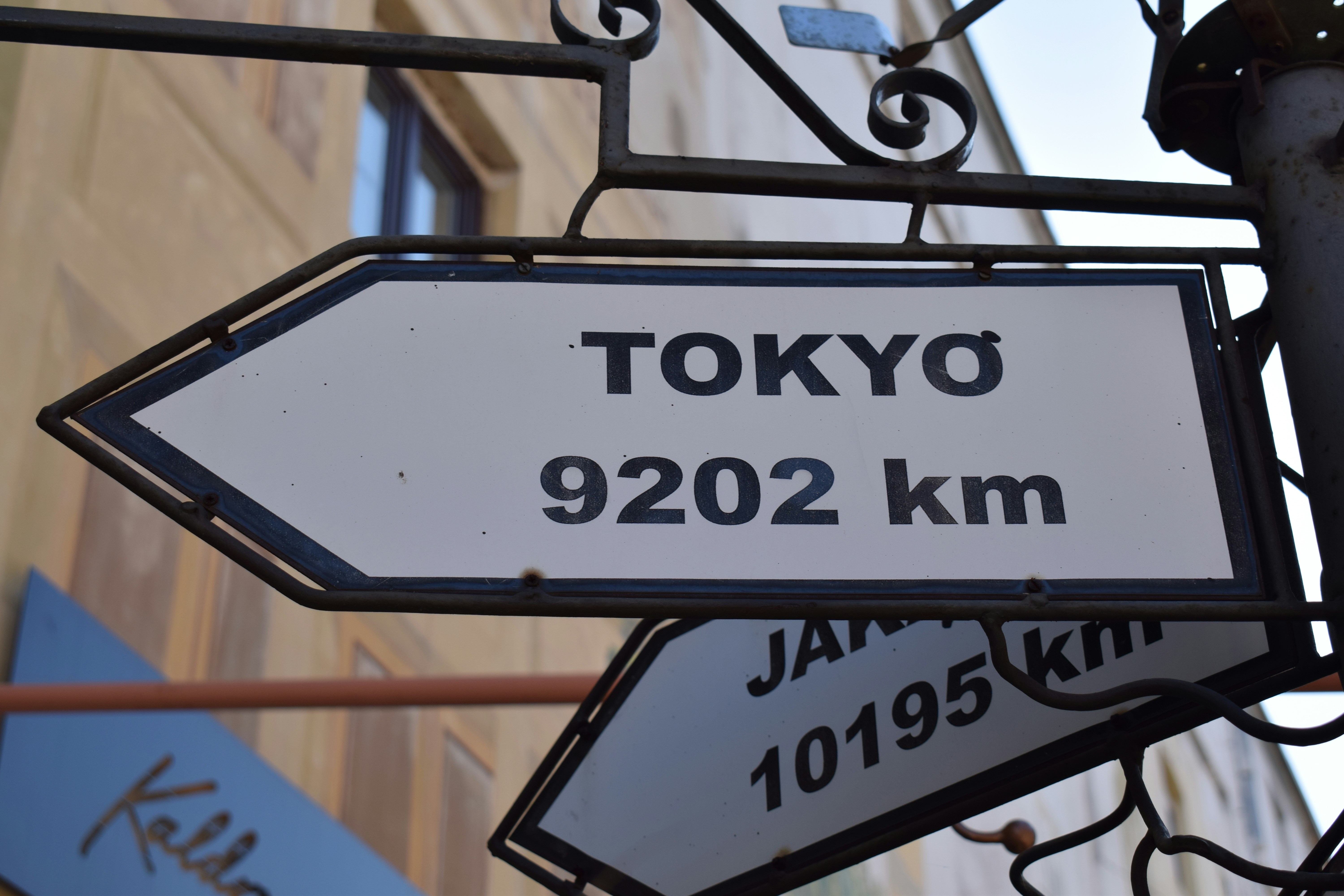 Local Tokyo Expert Guide