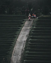 Tourists enjoying a scenic ride along Bali’s lush rice terraces on motorcycles.