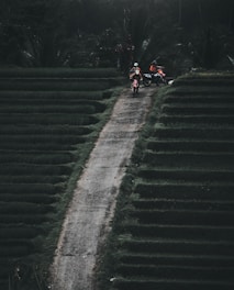 A group of travelers riding motorbikes through lush green landscapes in Java.