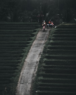 Two motorcyclists are riding along a narrow dirt path flanked by terraced fields. The lush greenery of the terraces creates a striking contrast with the dark atmosphere of the surroundings. Dense foliage and palm trees provide a backdrop, suggesting a tropical environment.