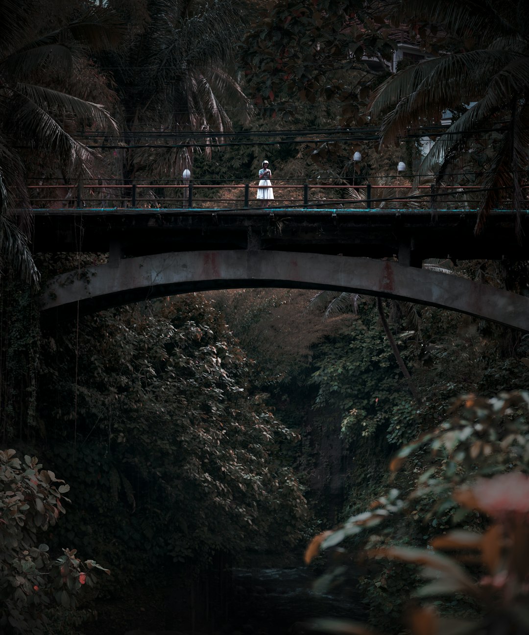 Bridge photo spot Ubud Indonesia