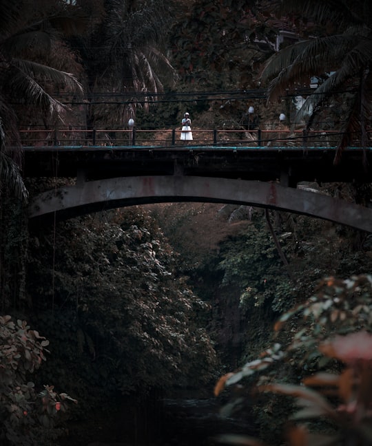 people walking on bridge during daytime in Ubud Indonesia