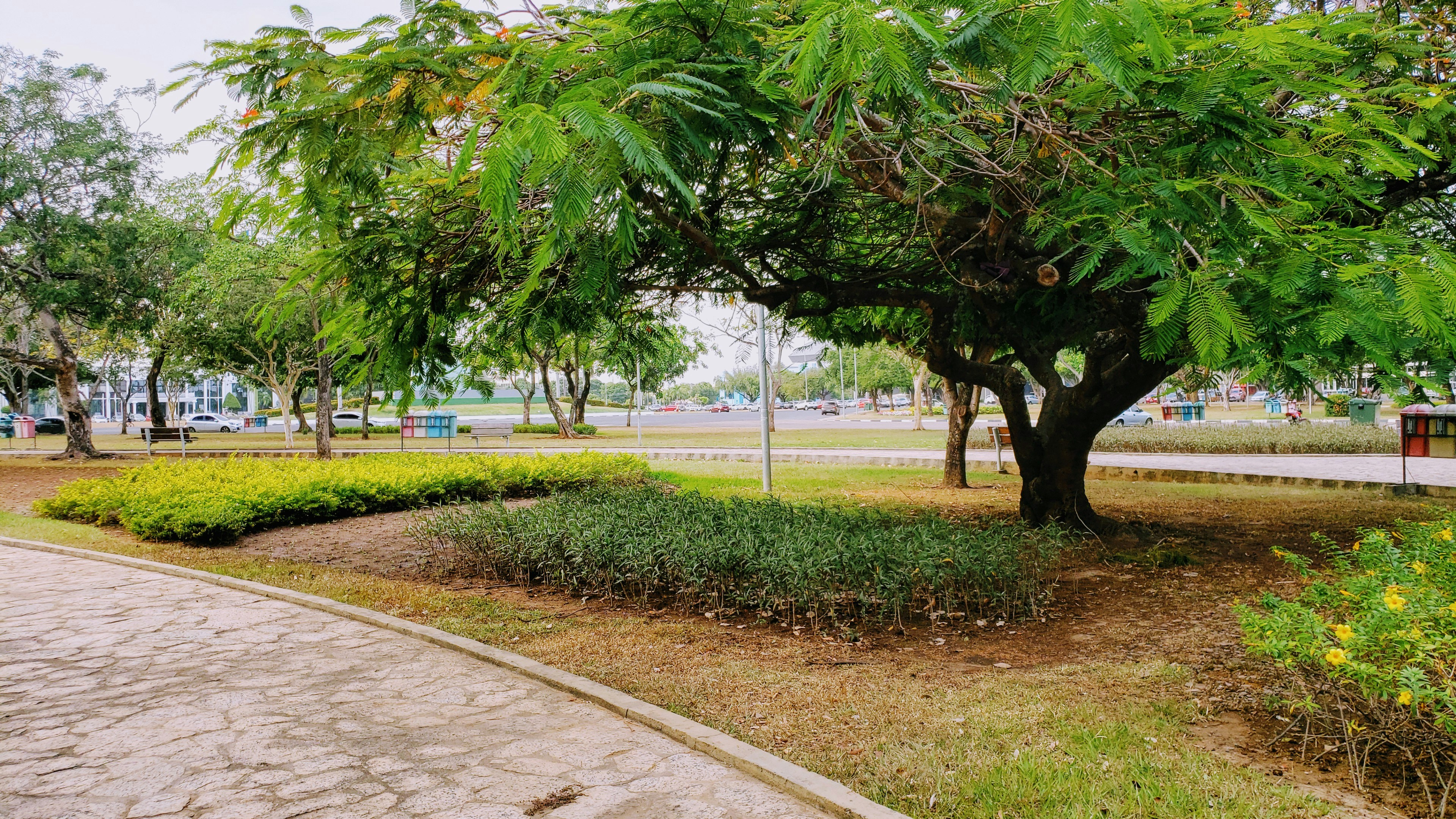 Photo by dienyportinanni