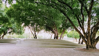 white concrete bench near green trees during daytime