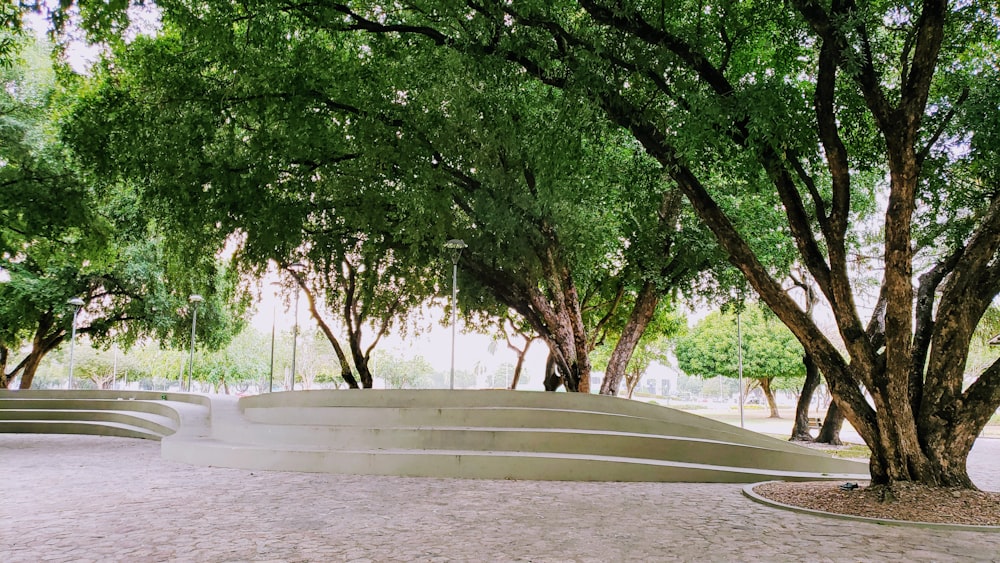 white concrete bench near green trees during daytime