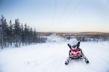 A red snowmobile parked on a snow-covered landscape with a backdrop of pine trees and a distant horizon. Overhead, power lines stretch across the sky under a clear, blue atmosphere. The sun casts a gentle light, enhancing the serene, wintery environment.