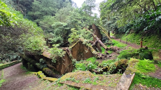 A serene abandoned building surrounded by overgrown greenery under soft natural light.