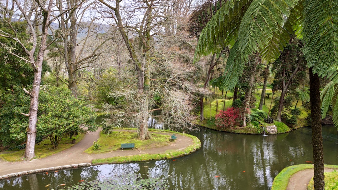 Nature reserve photo spot Terra Nostra Ponta Delgada