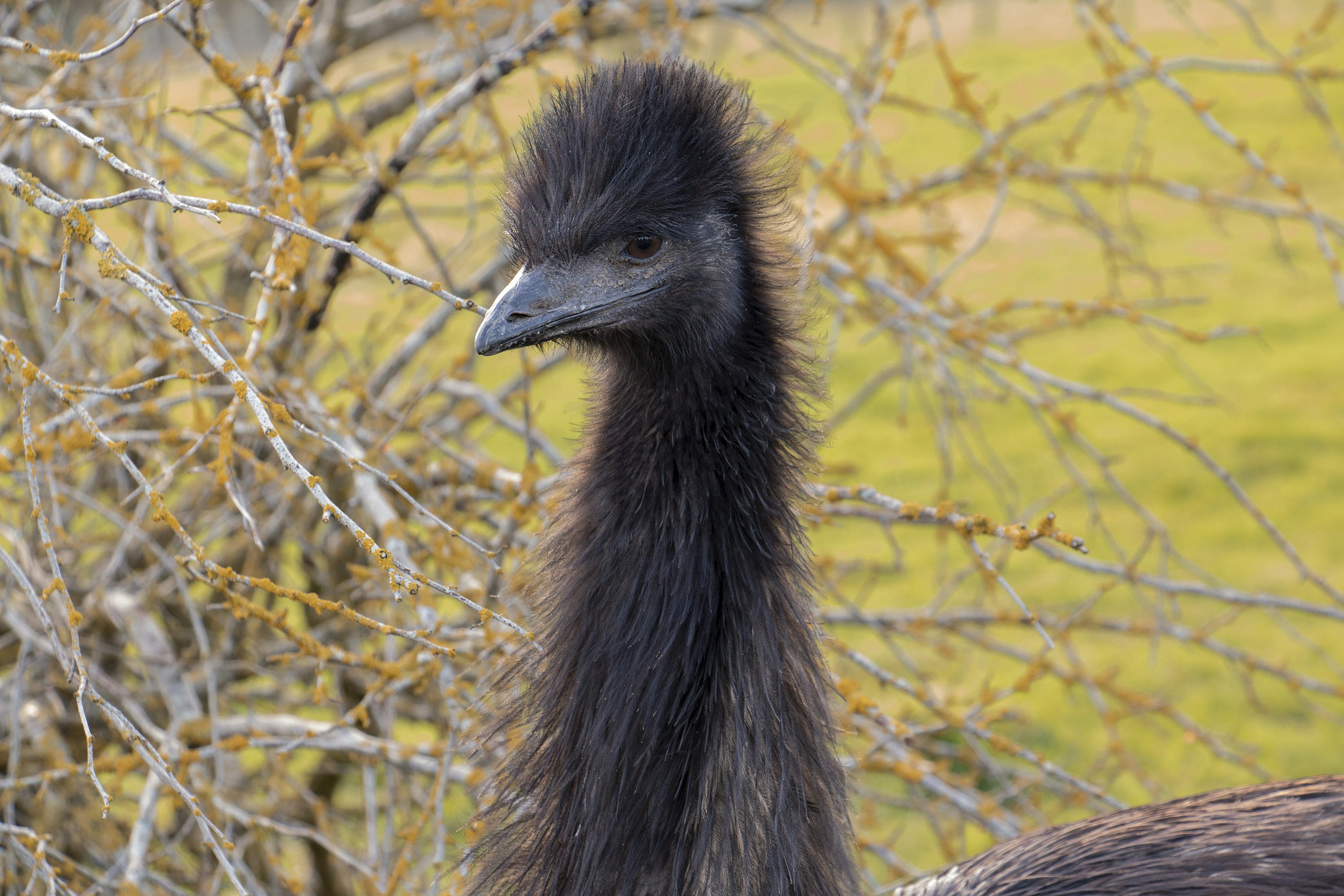 Photo by buddhapixel