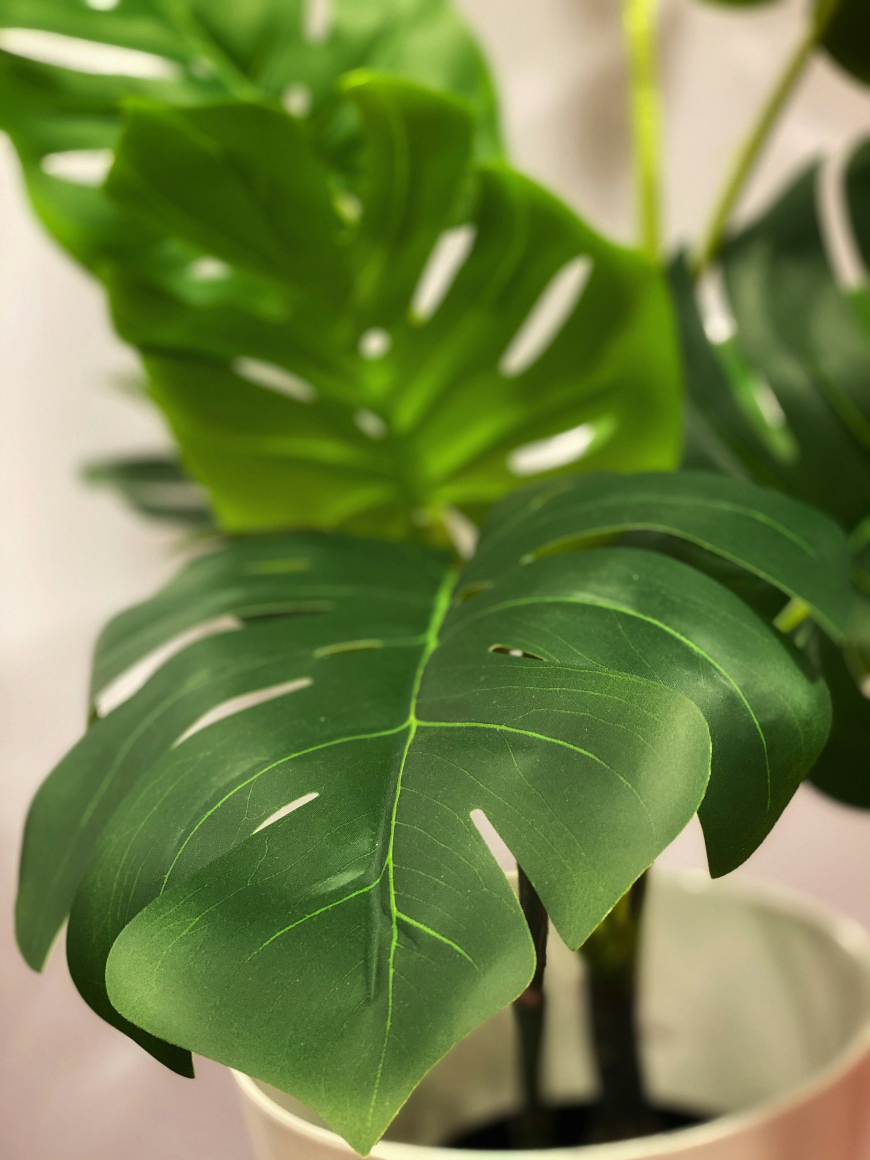 Photo by masarathalkhaili